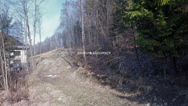 Działka leśna Stryszawa. Zdjęcie 8