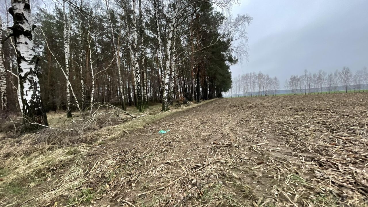 Działka leśna Skarżynek. Zdjęcie 7