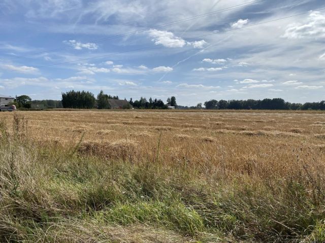 Działka rolna Pogrzymie. Zdjęcie 1