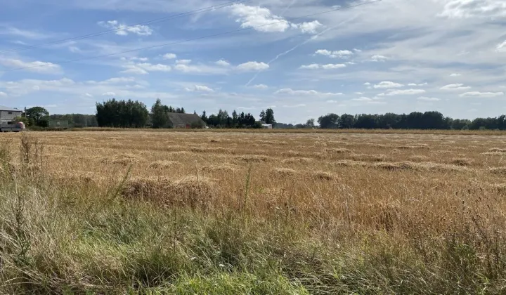 Działka rolna Pogrzymie