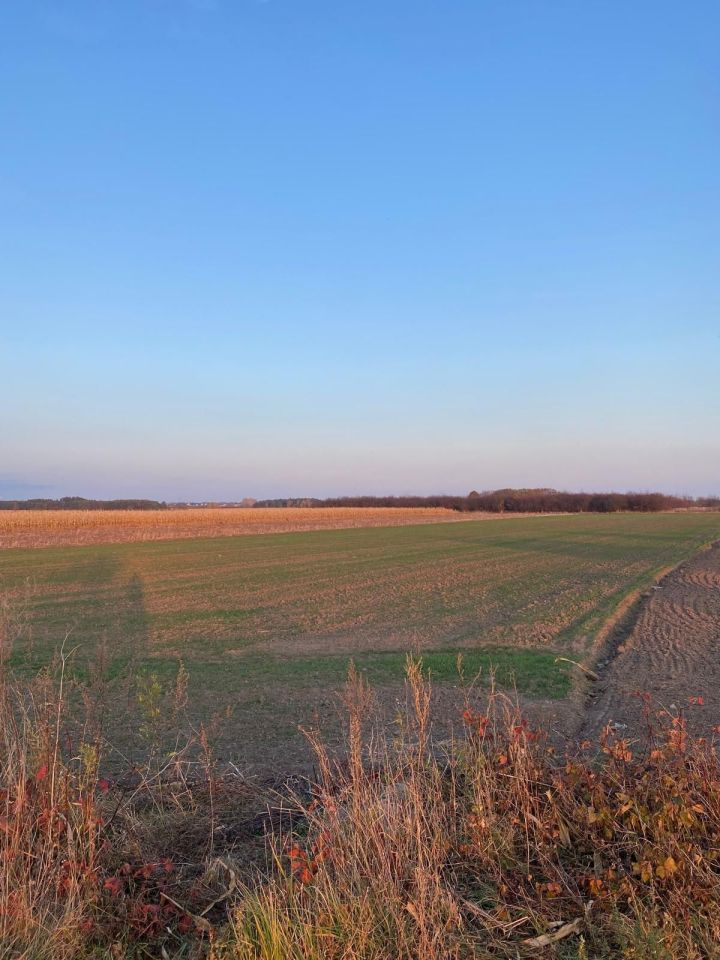 Działka inwestycyjna Szymanów. Zdjęcie 2