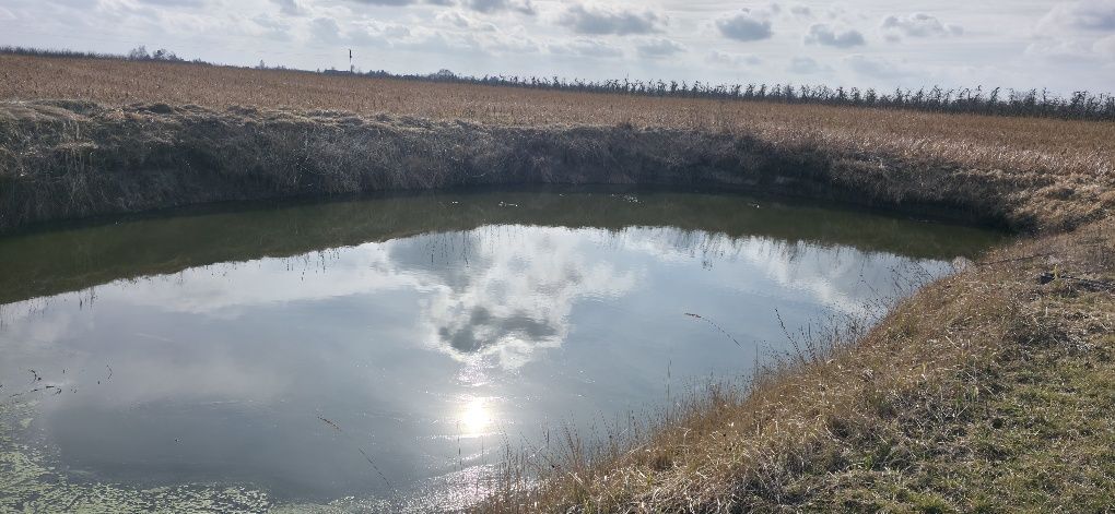 Działka siedliskowa Wierzbie. Zdjęcie 7