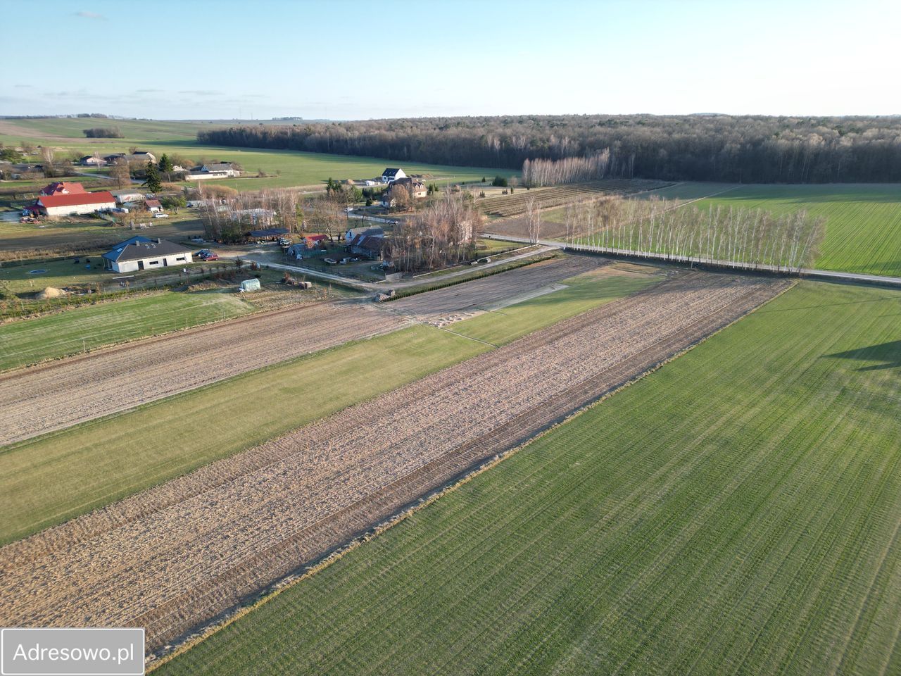 Działka budowlana Skrzynice-Kolonia. Zdjęcie 5