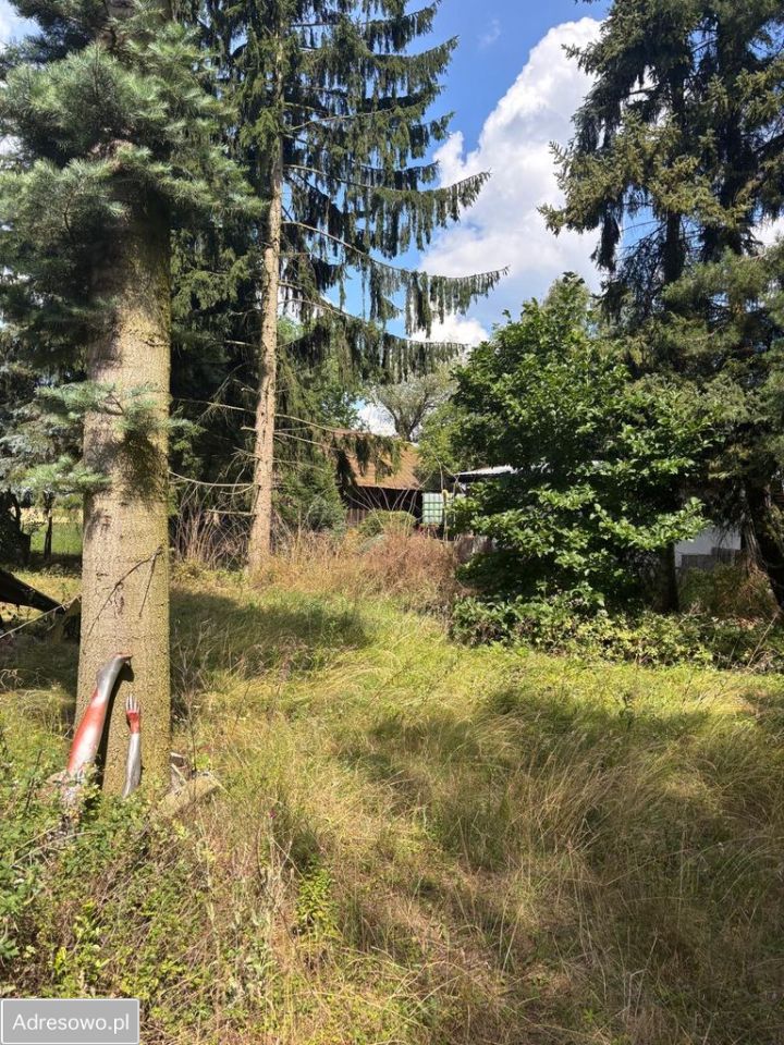dom wolnostojący, 5 pokoi Kolonia Nadwiślańska Raj. Zdjęcie 5