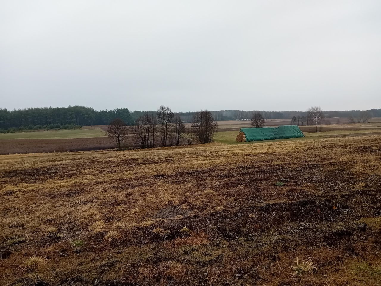 Działka budowlana Lisiny. Zdjęcie 4