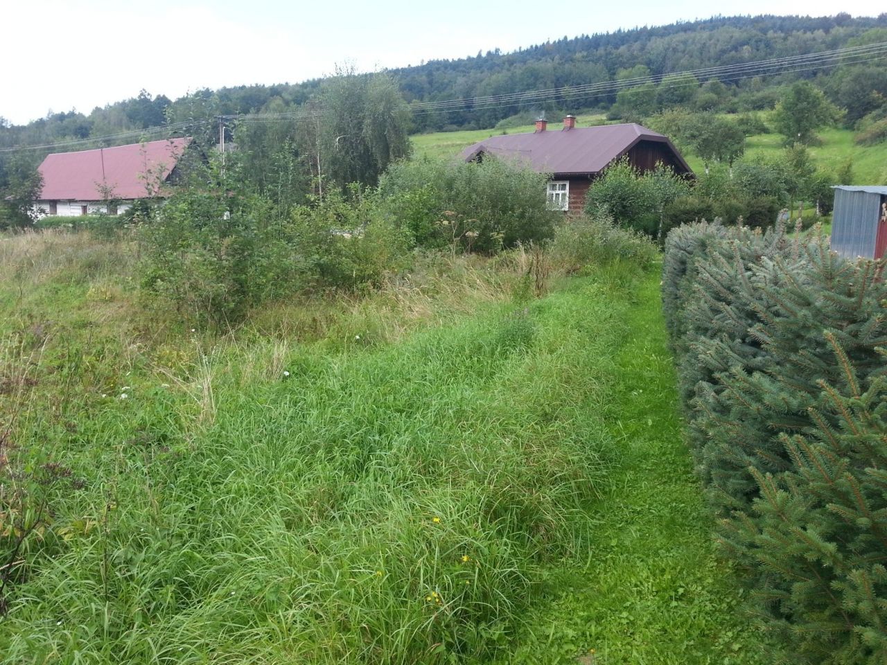 Działka rolno-budowlana Wapienne. Zdjęcie 3