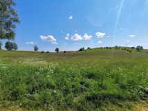 Działka rolno-budowlana Wężówka. Zdjęcie 3