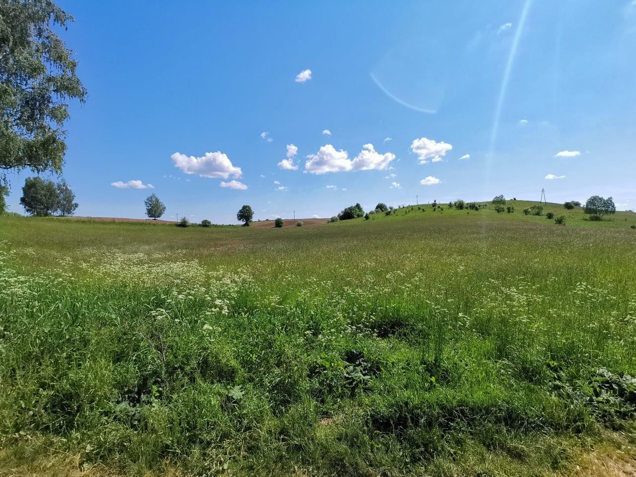 Działka rolno-budowlana Wężówka. Zdjęcie 4