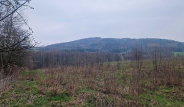 Działka budowlana Kamienica Dolna