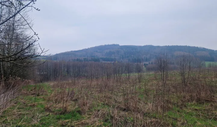 Działka budowlana Kamienica Dolna