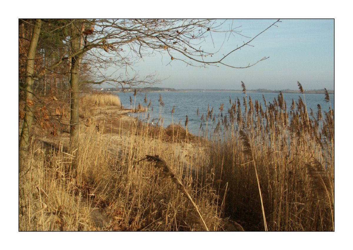 Działka budowlana Brudnów. Zdjęcie 5