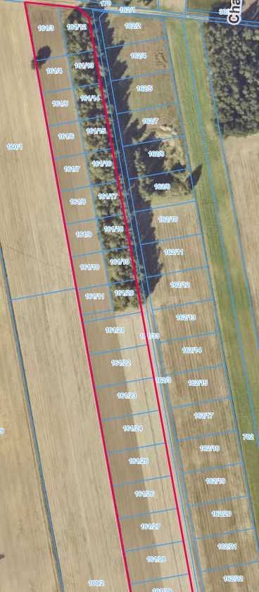 Działka budowlana Kowale Księże. Zdjęcie 3