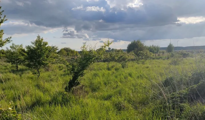 Działka budowlana Wołczkowo, ul. Ogrodowa