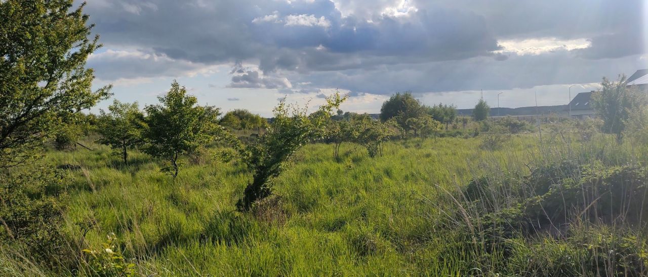 Działka budowlana Wołczkowo, ul. Ogrodowa. Zdjęcie 1
