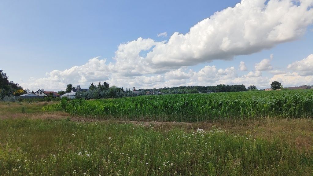 Działka budowlana Karski, ul. Akacjowa. Zdjęcie 7
