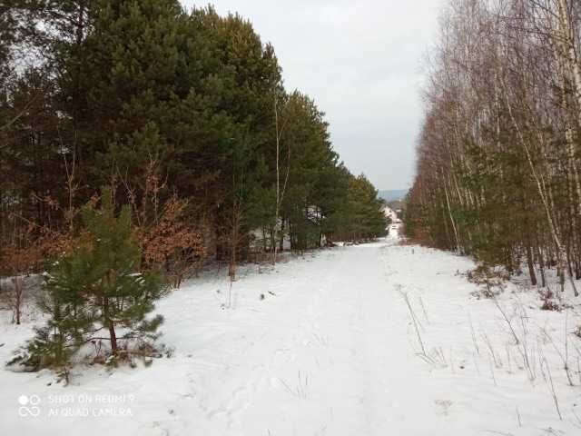 Działka budowlana Ćmińsk Wyrowce. Zdjęcie 3