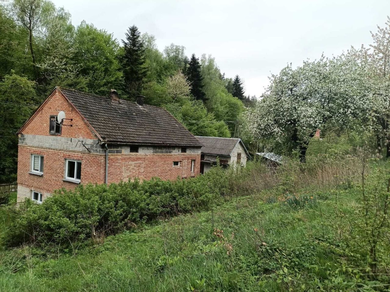 gospodarstwo Glinik Zaborowski. Zdjęcie 2