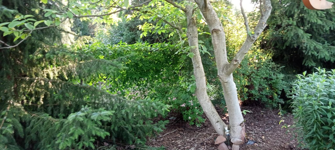 Działka budowlana Kaletnik, ul. Kościelna. Zdjęcie 3