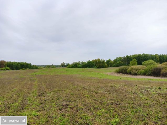 Działka rolna Żugienie. Zdjęcie 1