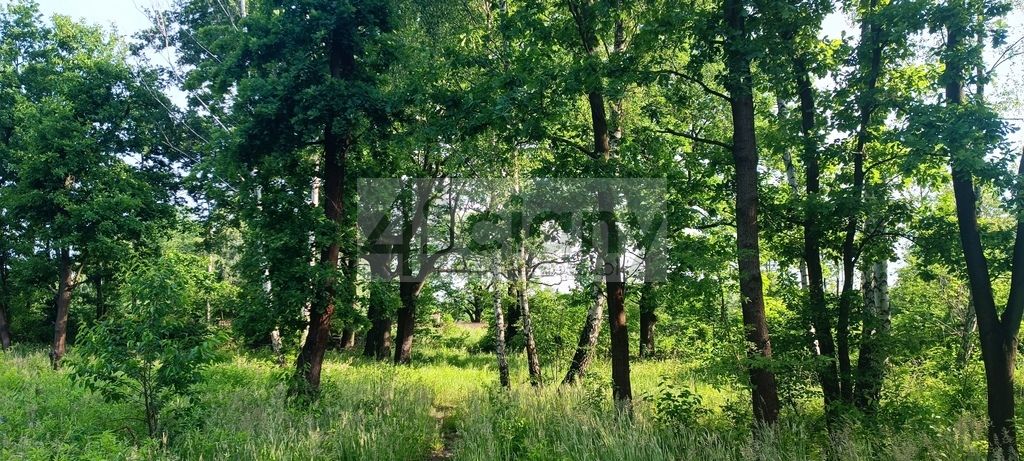 Działka budowlana Grodzisk Mazowiecki. Zdjęcie 2
