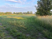Działka rolna Wola Batorska. Zdjęcie 1