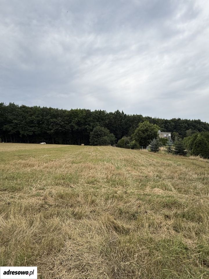 Działka budowlana Rybnik Niedobczyce, ul. Gruntowa. Zdjęcie 6