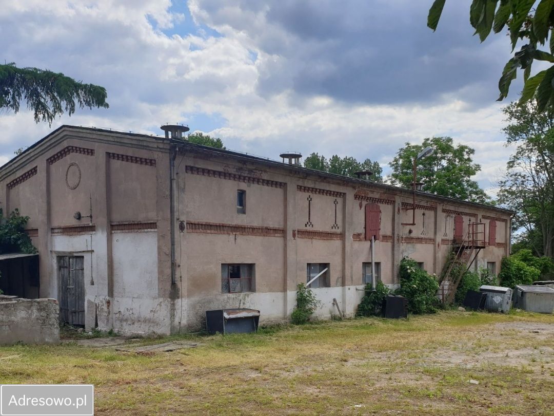 gospodarstwo, 7 pokoi Twierdzielewo. Zdjęcie 4