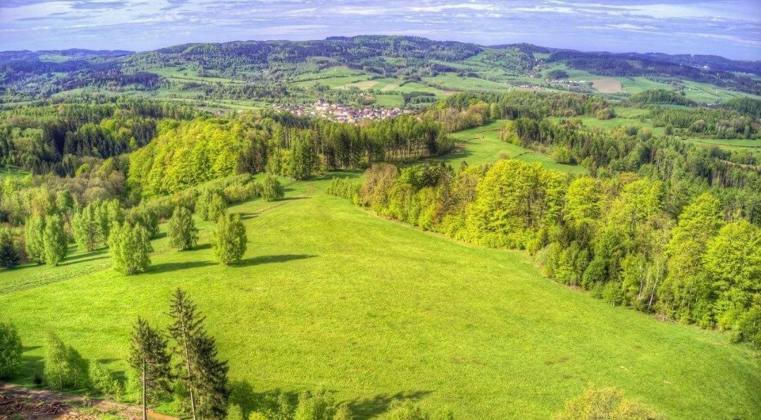 Działka budowlana Leśna. Zdjęcie 7