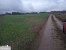 Działka budowlana Chwalęcice, ul. Leśna. Zdjęcie 4