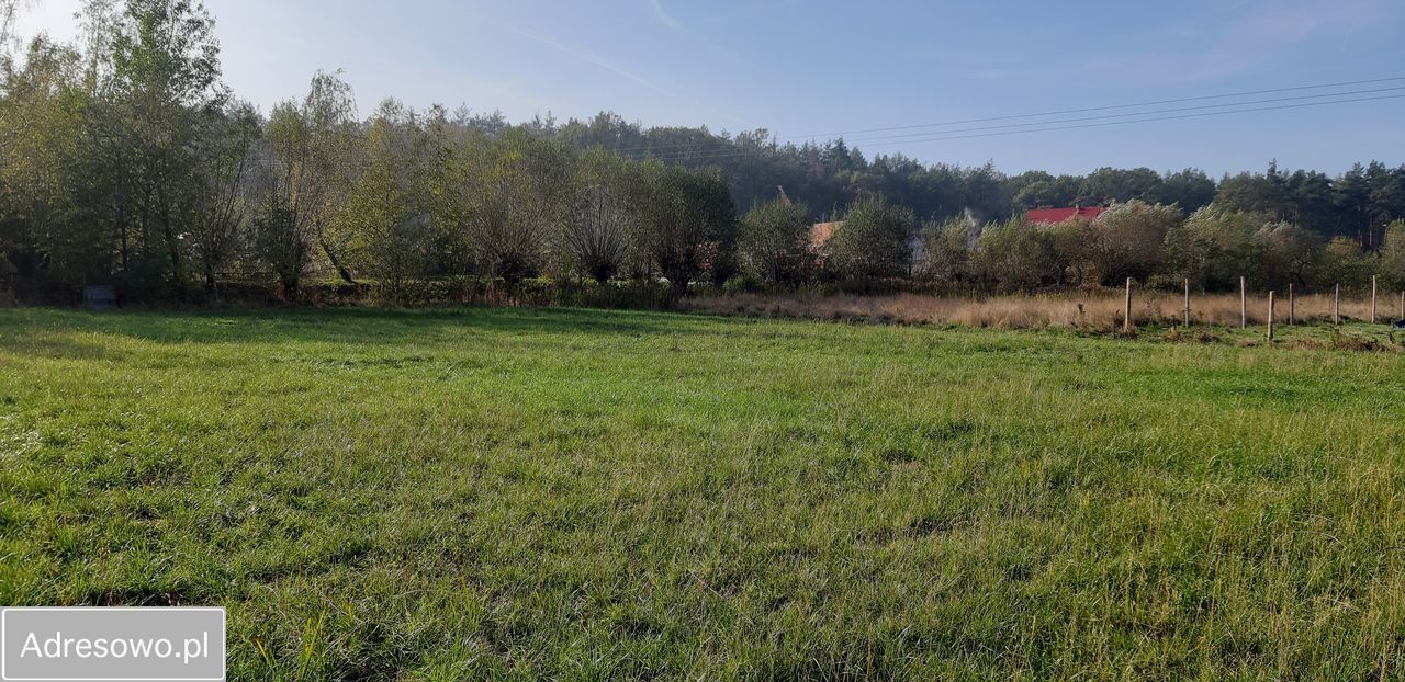 Działka budowlana Motyczyn. Zdjęcie 8