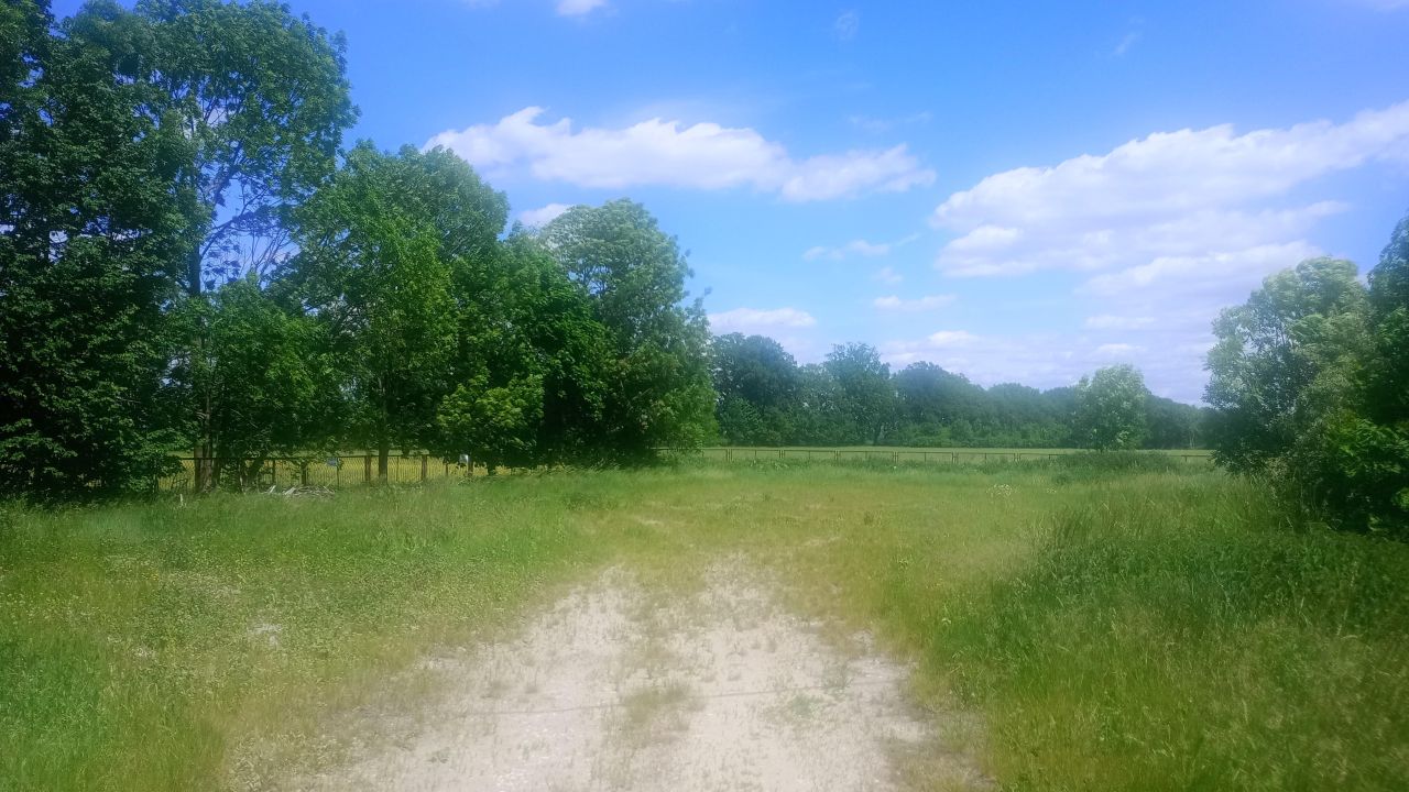 Nieruchomość komercyjna Olesno Owczarnia, ul. Leśna. Zdjęcie 5