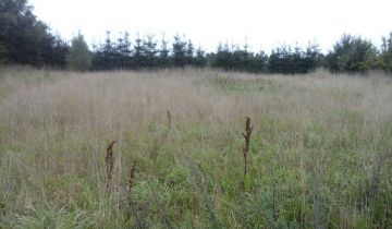 Działka rolno-budowlana Sarbinowo