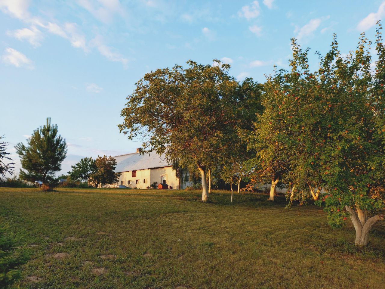 Działka rolna Jarnatów. Zdjęcie 4