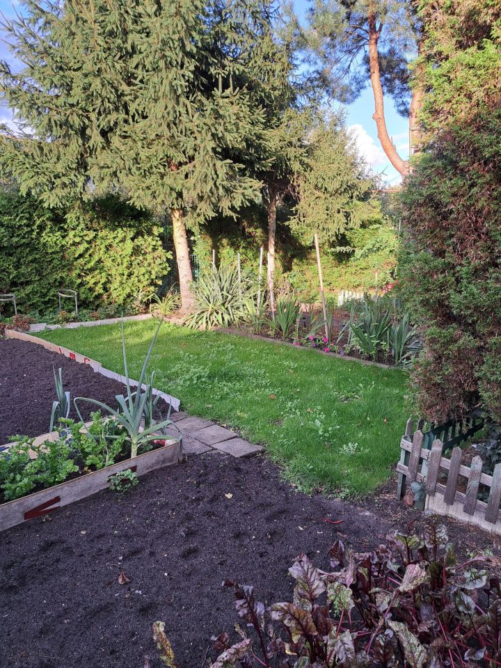 Działka rod Toruń Wrzosy, ul. Słowicza. Zdjęcie 11