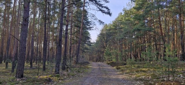 Działka rekreacyjna Osiedle Wilga. Zdjęcie 4