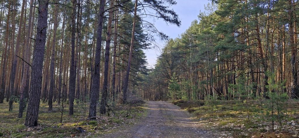 Działka siedliskowa Osiedle Wilga. Zdjęcie 4