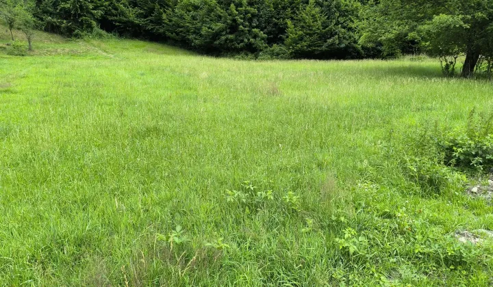 Działka budowlana Ponikiew Sikorowa, Wadowicka