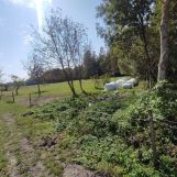 Działka budowlana Pokrzywnica. Zdjęcie 1