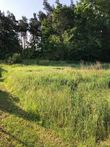 Działka budowlana Skrzatki. Zdjęcie 1