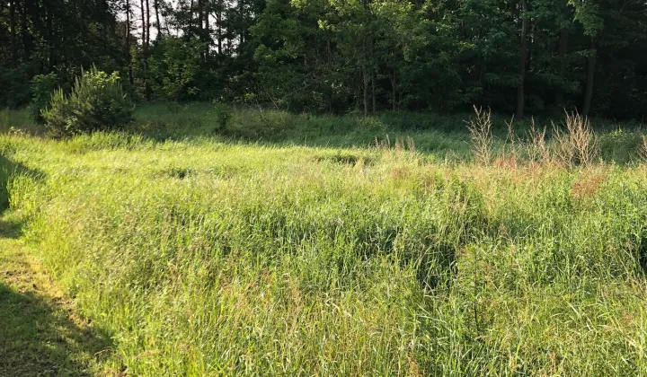 Działka budowlana Skrzatki