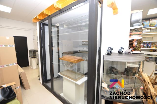 Lokal Zielona Góra Jędrzychów. Zdjęcie 7