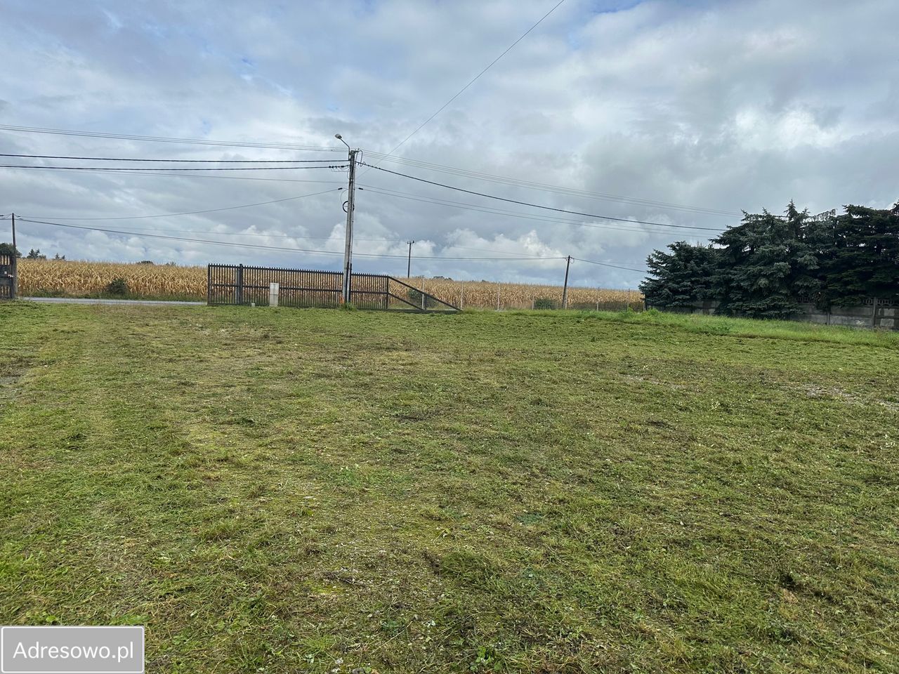 Hala/magazyn Borzęcin. Zdjęcie 17