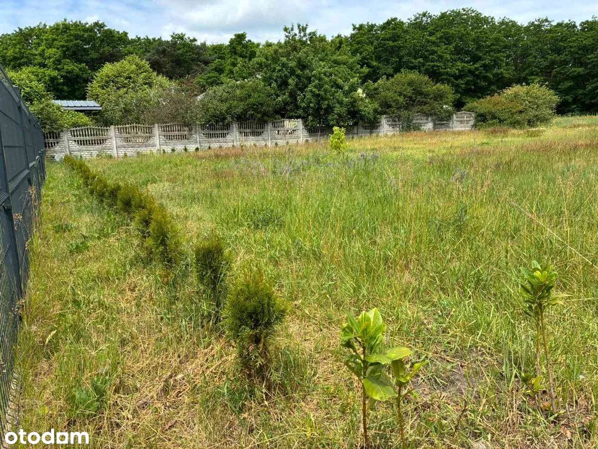 Działka budowlana Gajówka-Kolonia. Zdjęcie 2