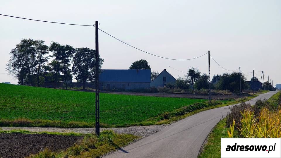 gospodarstwo Osieczek. Zdjęcie 5