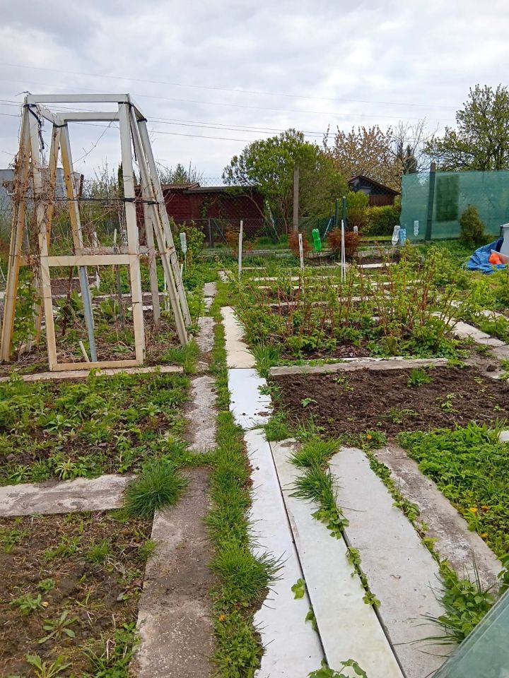 Działka rod Gdańsk Olszynka, ul. Zawodzie. Zdjęcie 3