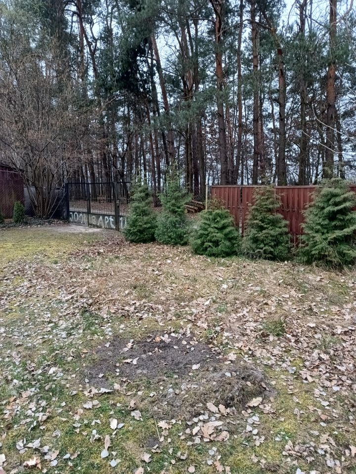 Działka rekreacyjna Krasne Krzywe. Zdjęcie 3