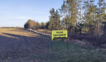 Działka budowlana Krynka