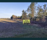 Działka budowlana Krynka
