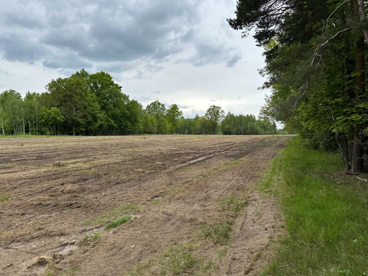 Działka budowlana Wola Polska. Zdjęcie 3