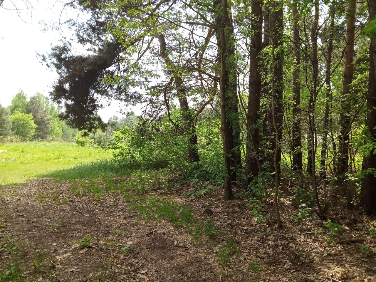 Działka budowlana Bieniewiec, ul. Barwna. Zdjęcie 5